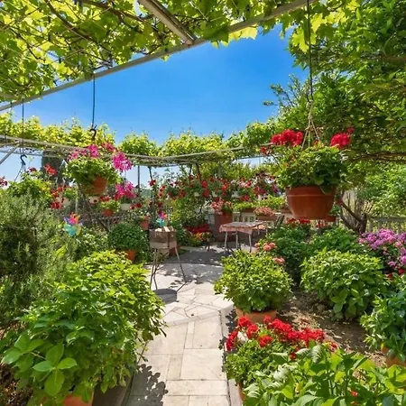 بيت ضيافة And With A Swimming Pool Mlini, Dubrovnik - 22386 مْليني