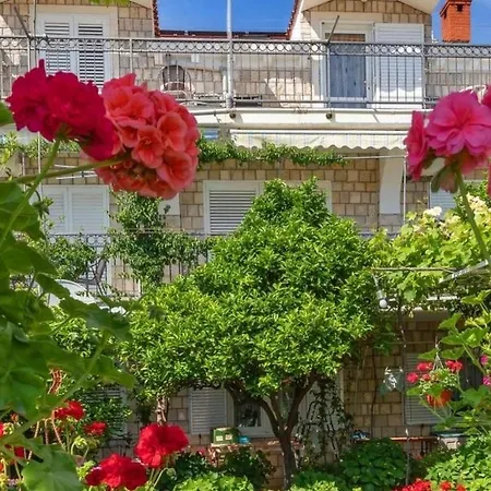 بيت ضيافة And With A Swimming Pool Mlini, Dubrovnik - 22386